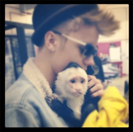 justin-bieber-monkey-cute.jpg